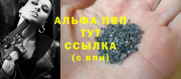 гашик Каменногорск