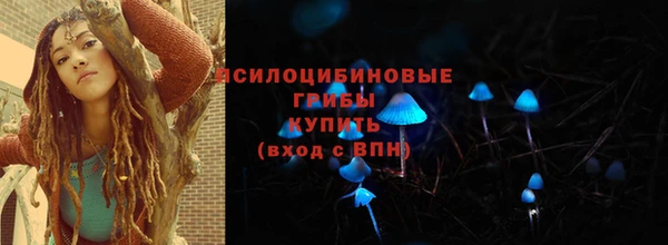 гашик Каменногорск