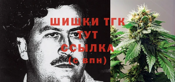 гашик Каменногорск