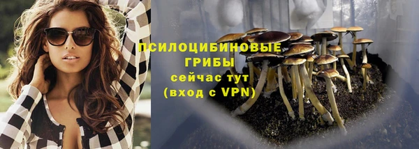 круглые Каменка