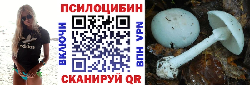 Псилоцибиновые грибы Cubensis  Купить  Билибино 